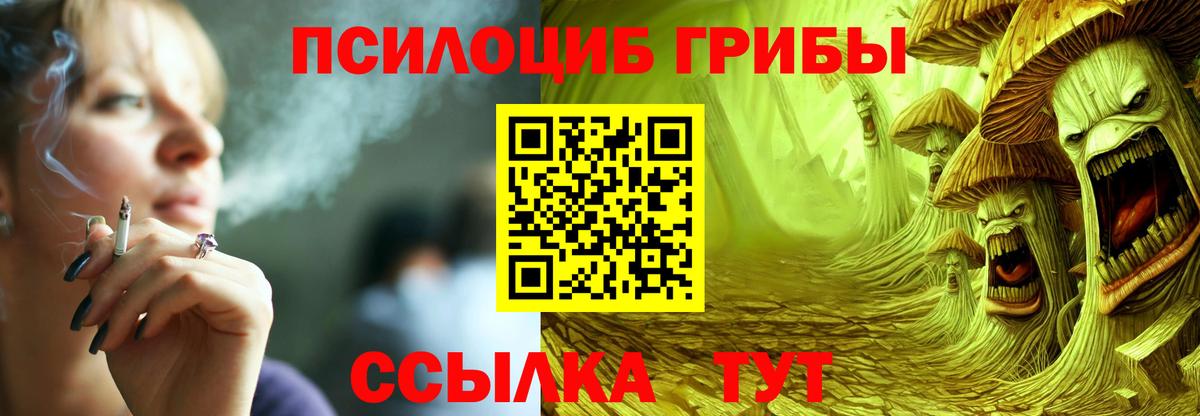 Сальск  Галлюциногенные грибы Psilocybe  Вход с VPN 